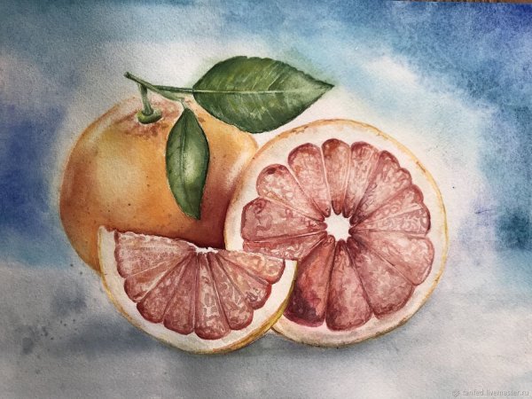 Грейпфрут гуашью