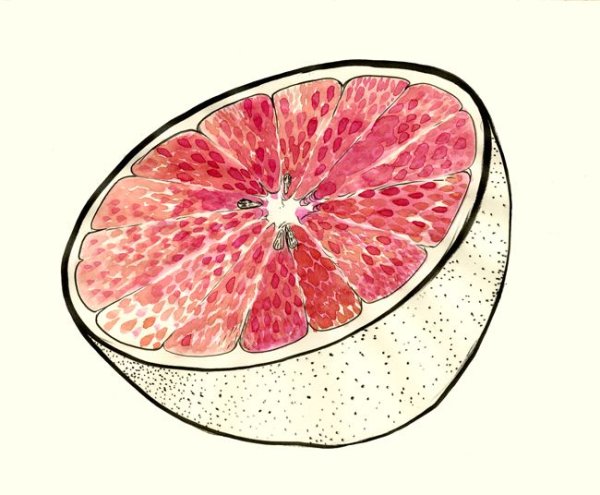 Рисуем грейпфрут
