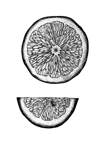 Кусок лимона