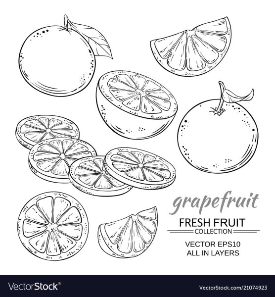 Стилизация грейпфрута в графике