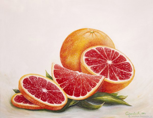 Грейпфрут рисунок