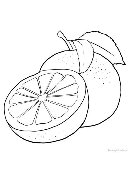 Апельсин раскраска