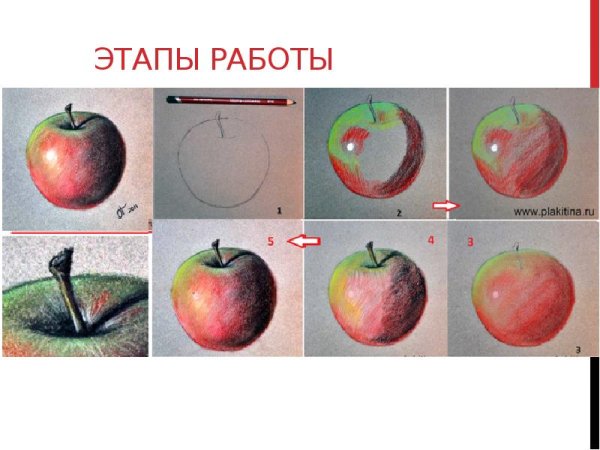 Поэтапное рисование яблока акварелью