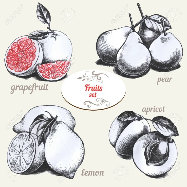 Мужские персики скетч