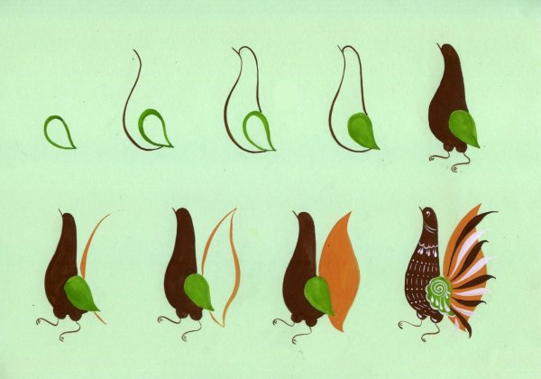 Коала рисунок карандашом поэтапно