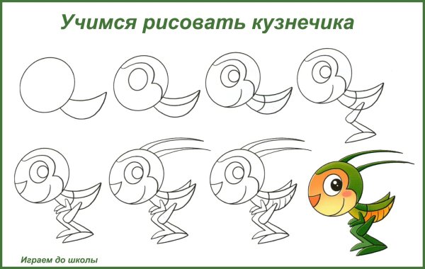 Поэтапное рисование кузнечика