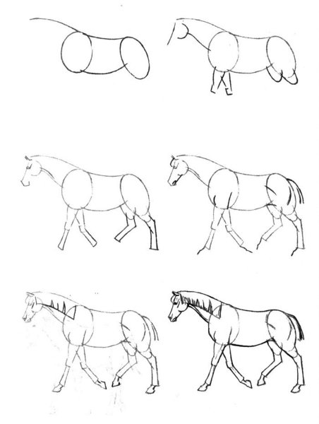 Рисунок лошади для срисовки для детей
