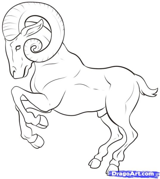 Овен раскраска