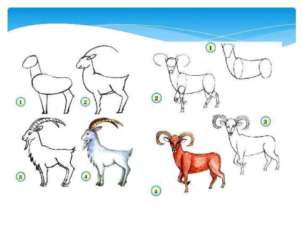 Фото уш рисовать последовательность