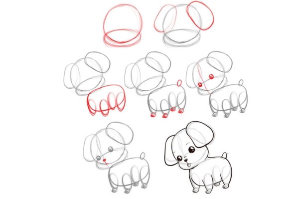 Рисование щенка поэтапно для детей