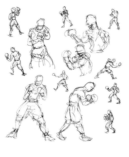 Боксерский эскиз