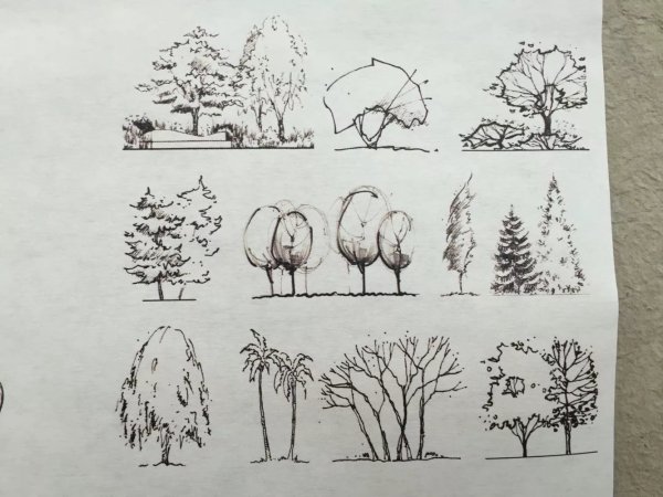 Антураж стаффаж кусты