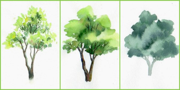 Акварелью деревья кусты