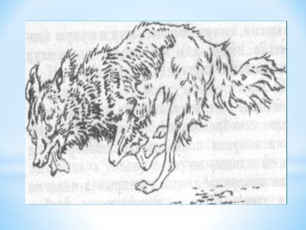 Рисунок собаки из рассказа кусака