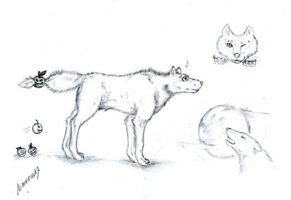 Волчик рисунок