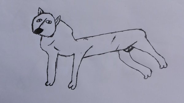 Плохо нарисованная собака