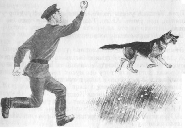 Рассказ алый Юрия Коваля