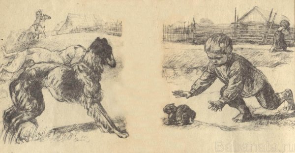 Иллюстрация к рассказу котенок Толстого