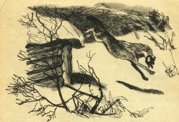 Иллюстрации к рассказу Чехова белолобый