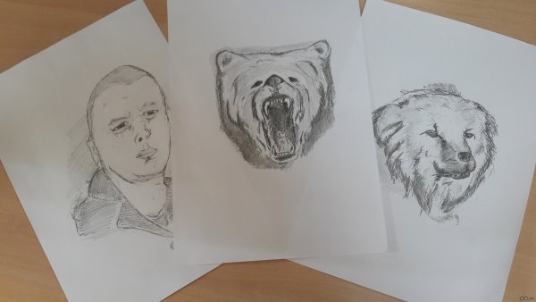 Человек медведь рисунок карандашом