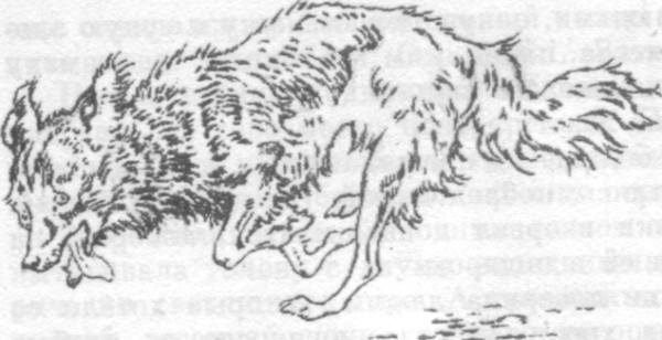 Л Андреев кусака иллюстрации