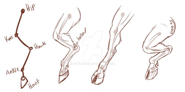 Копыта оленя референс