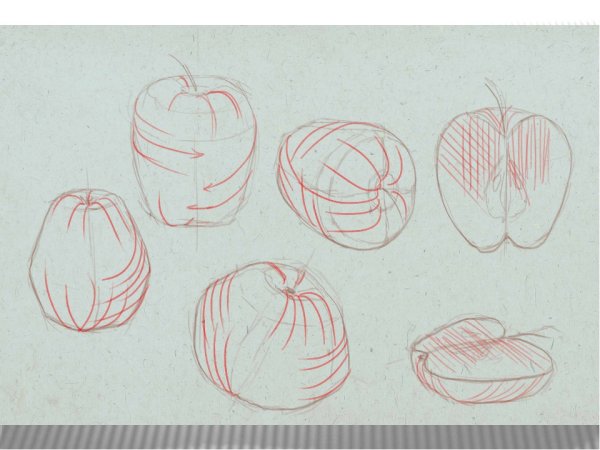 Фрукты карандашом для начинающих