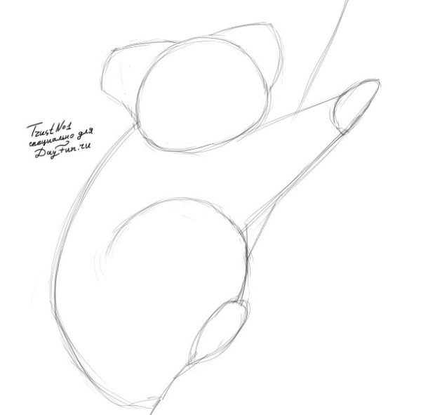 Коала поэтапное рисование