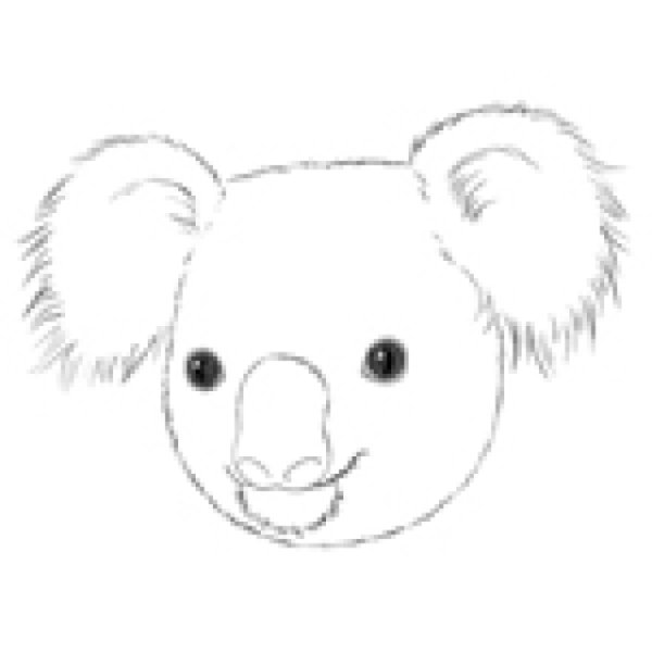 Коала схема рисования