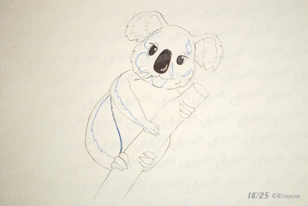 Куала рисунок карандашом