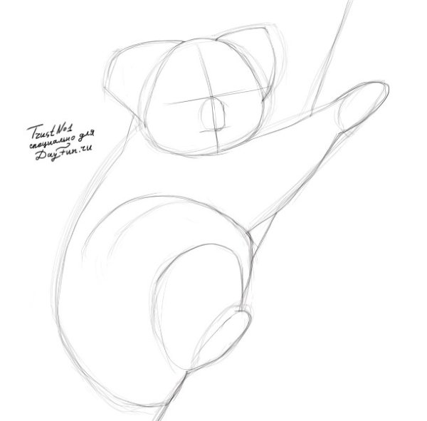 Коала поэтапное рисование