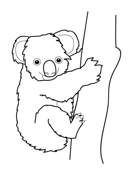 Раскраска Панда и коала