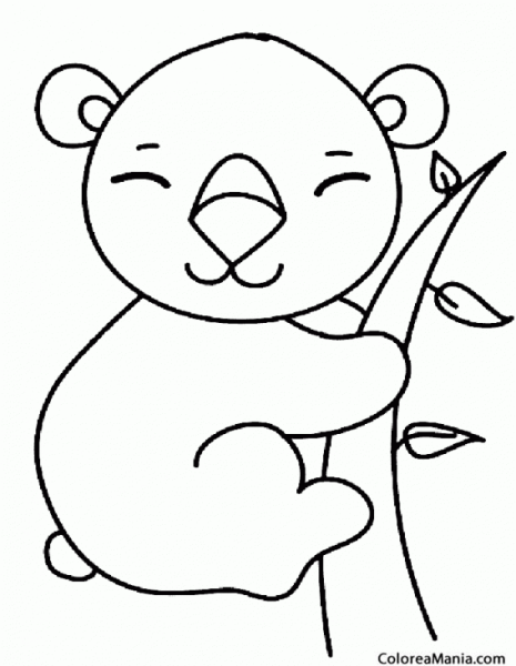 Коала контур