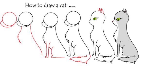 План для рисования котика