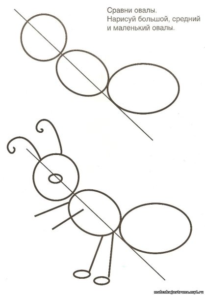 Поэтапное рисование насекомых для дошкольников