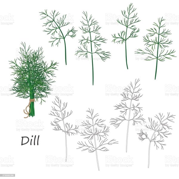 Пучок зелени рисунок