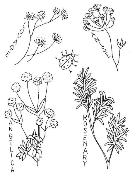 Трафарет для вышивки гладью полевые цветы