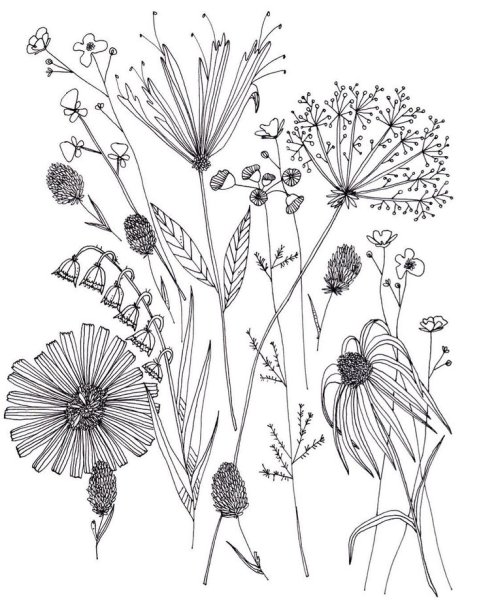 Стилизованные травы и цветы