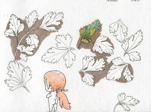 Петрушка поэтапно