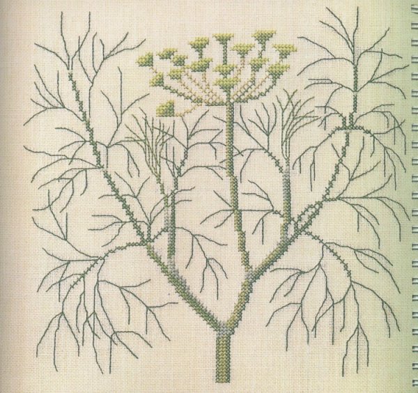 Вышивка цветы укропа