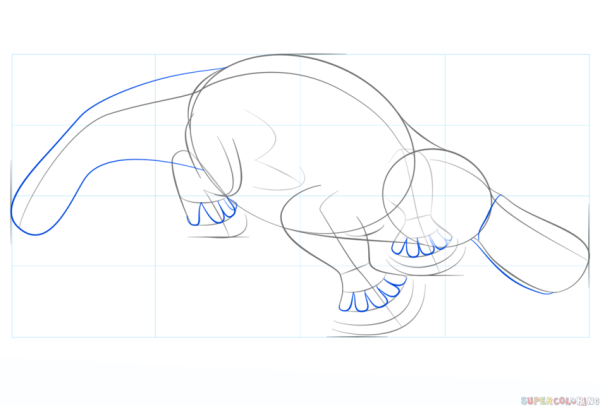 Нарисовать утконоса пошагово