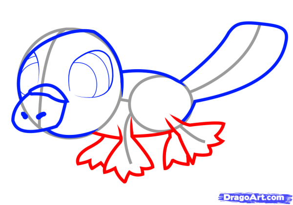 Утконос поэтапно карандашом