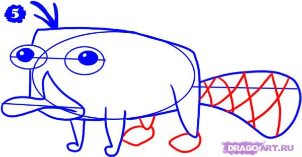 Утконос раскраска