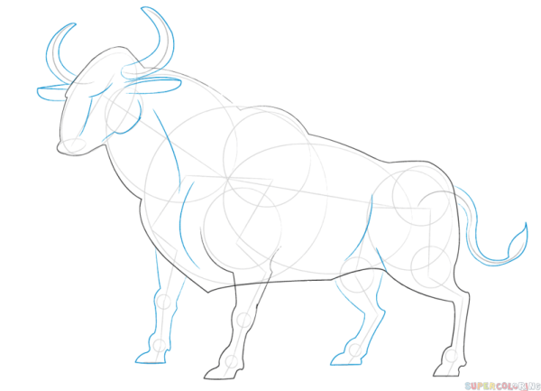 Рисование карандашом быка