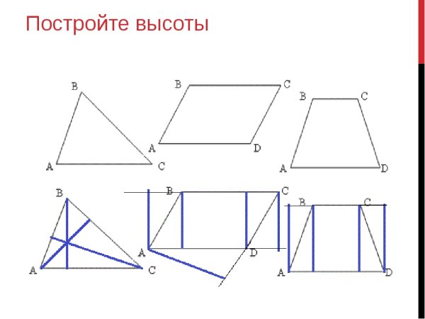 Начертить высоту