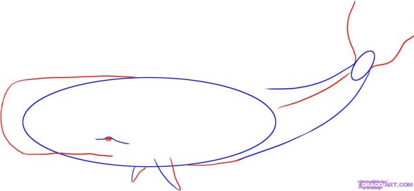 Рисование Кашалот