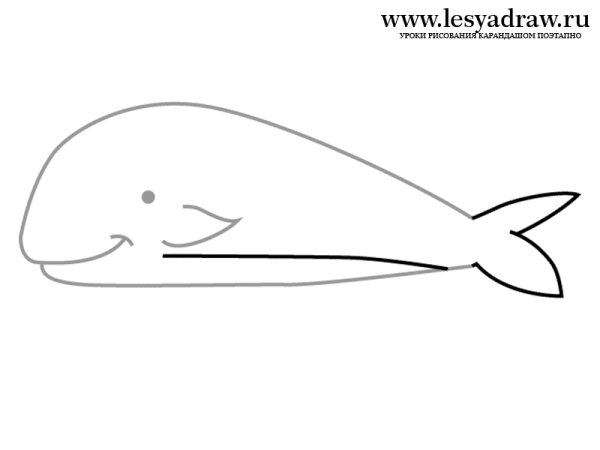 Рисуем кашалота пошагово