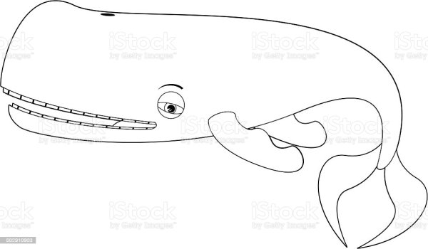 Кашалот контурный рисунок