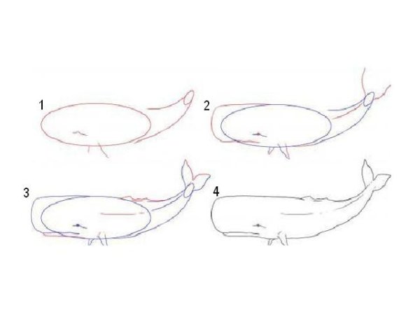 Схема рисования кита