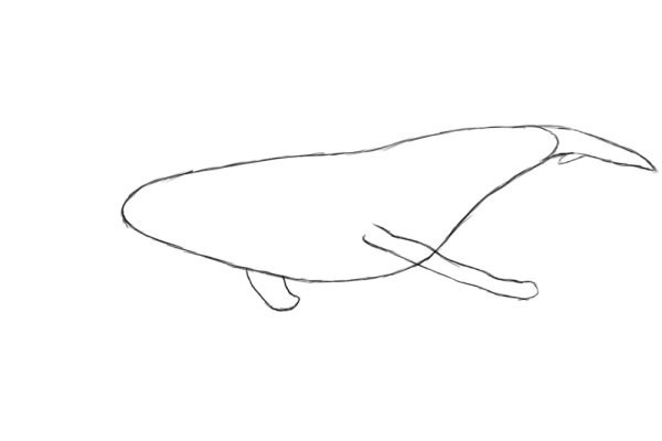 Кашалот рисунок пошаговый